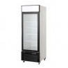 Armoire Positive 610 litres 1 Porte vitrée