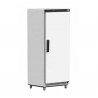 Armoire Positive 600 litres Porte Pleine 